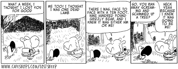 lostsheep